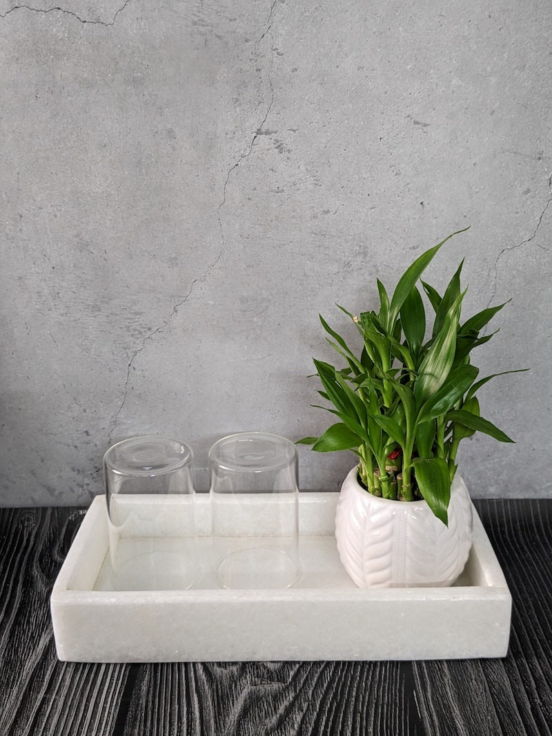 White Marble Tray Rectangle 12In