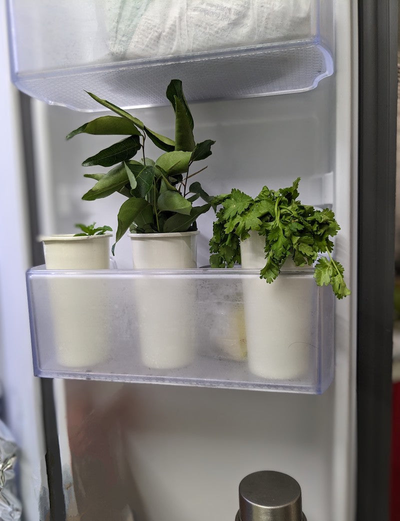 Hanging Kitchen Organizer (Herb Garden)