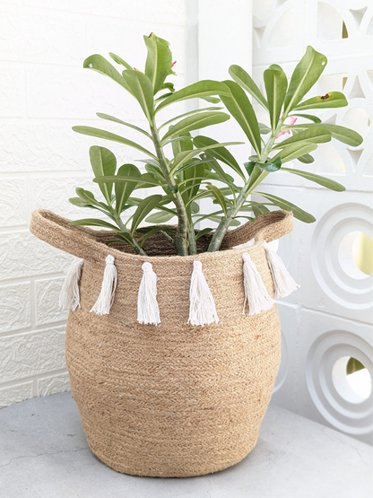 Jute Planter  - 12 Inch