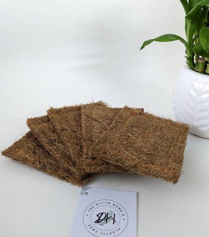 Coir Dish Scrub Pad(Pack of 5)